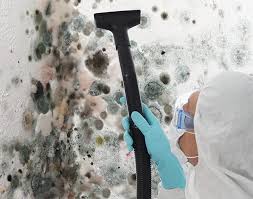 Best Commercial Mold Inspection in Delisle, MS